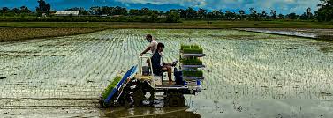 कोशीको बजेट : कृषि विविधीकरण, व्यवसायीकरण र बजारीकरण प्राथमिकतामा